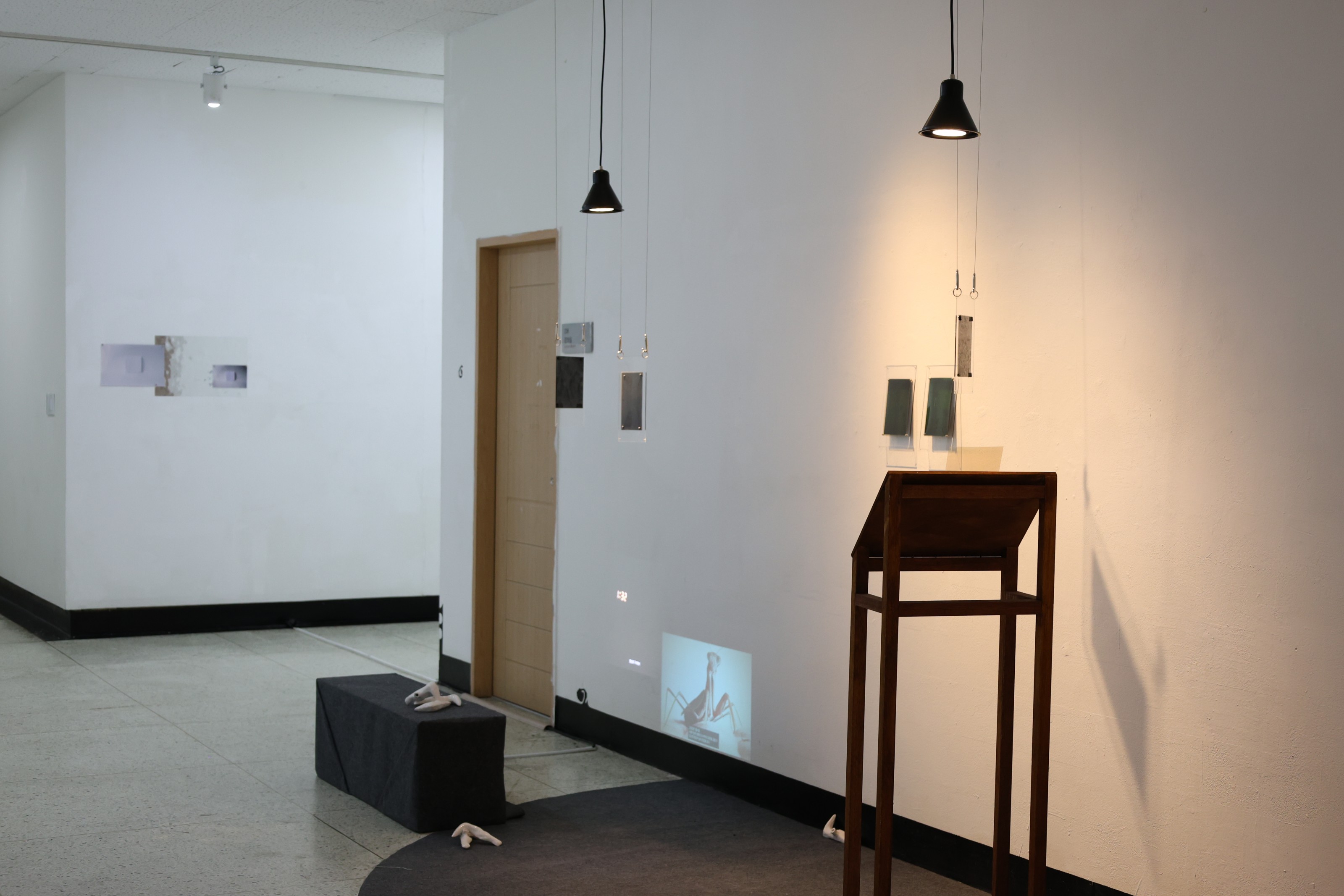 Four Horses installation view 5